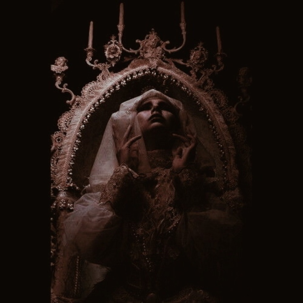 Meet your Posher, Todd